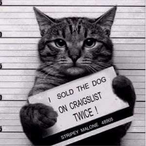 Meet Your Posher, Tammy